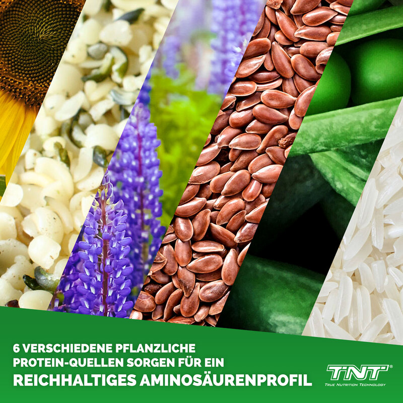 TNT Planto Six - 6 verschiedene Proteinquellen