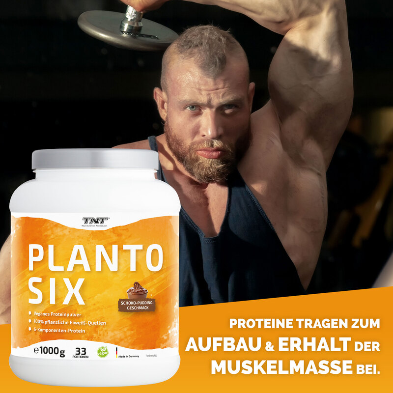 TNT Planto Six - Schoko Pudding - Proteine