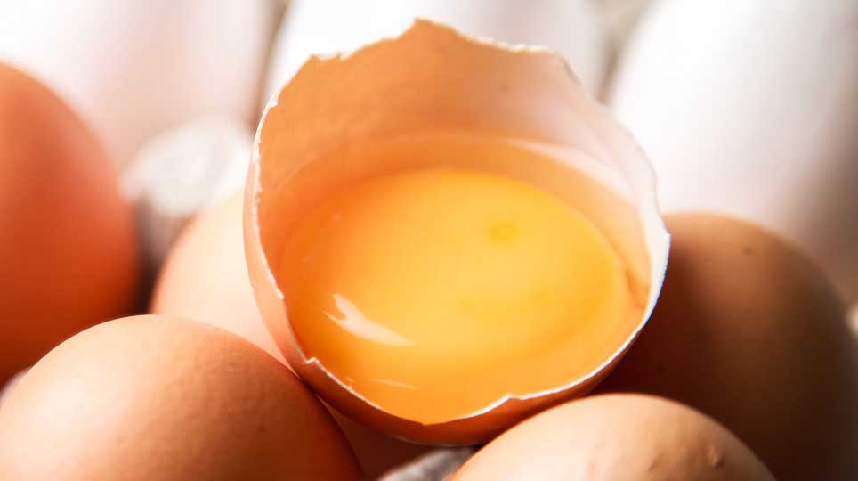 Sind Eier wirklich gesund?