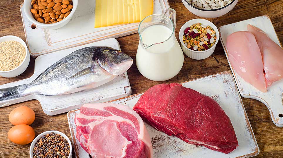 Kann man zu viel Protein essen?