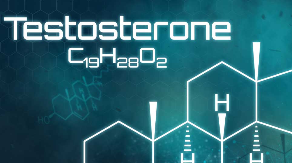 Testosteronbooster: Was sie wirklich bringen